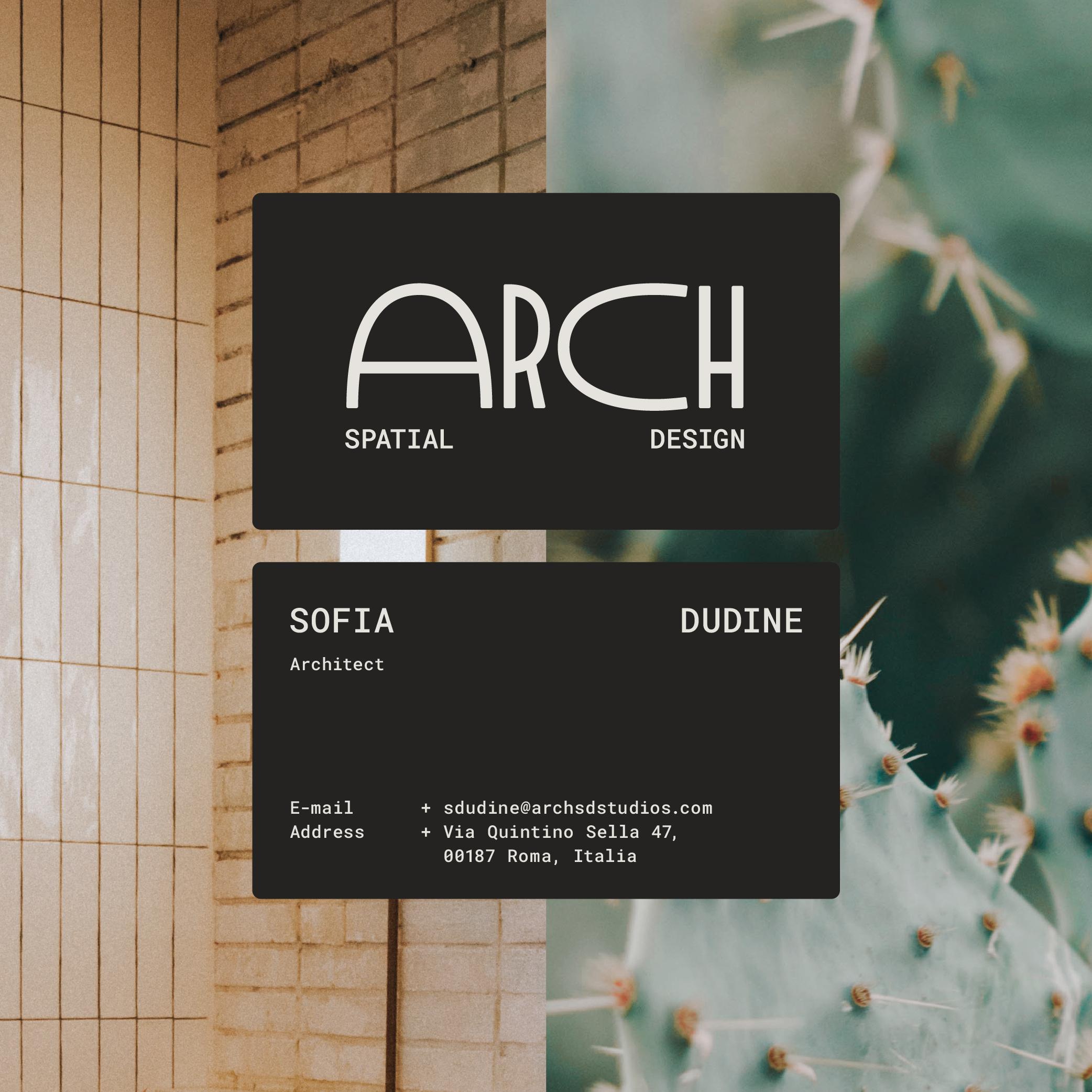 Arch Visual Identity